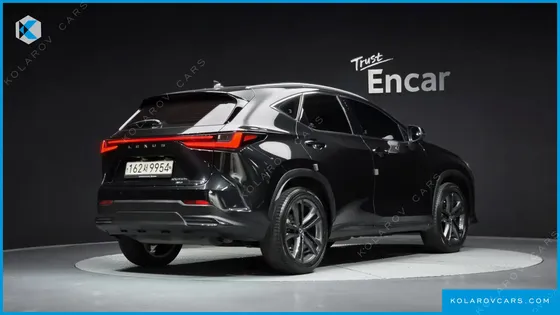 LEXUS NX PREMIUM