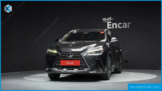 LEXUS NX PREMIUM