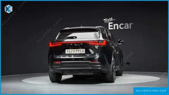 LEXUS NX PREMIUM