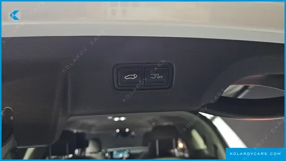 KIA CARNIVAL GASOLINE 9-SEATER SIGNATURE