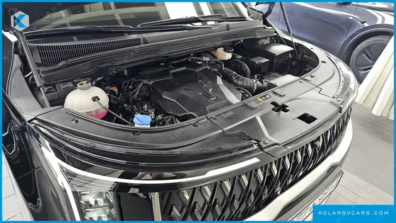 KIA CARNIVAL GASOLINE 9-SEATER SIGNATURE