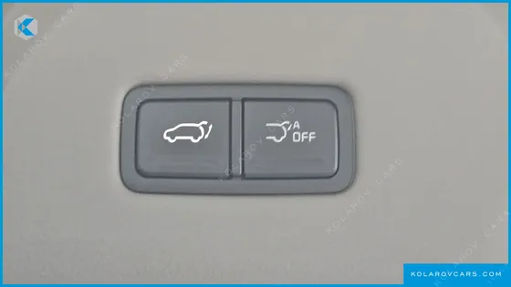 KIA CARNIVAL GASOLINE 9-SEATER SIGNATURE