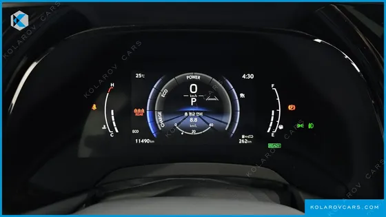 LEXUS RX F-SPORT