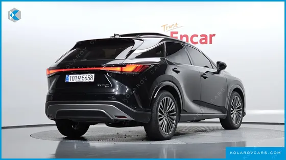 LEXUS RX LUXURY
