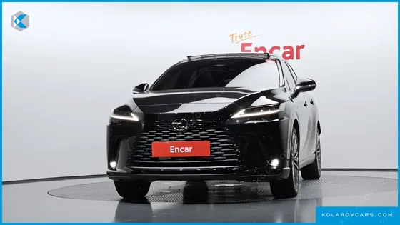 LEXUS RX LUXURY