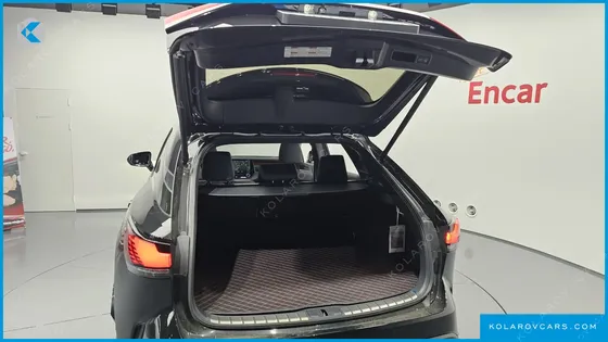 LEXUS RX LUXURY