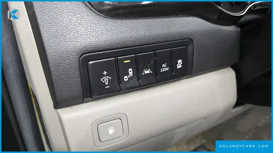 KIA CARNIVAL 9-SEATER NOBLESSE SPECIAL
