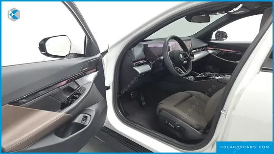 BMW 5 SERIES 530E