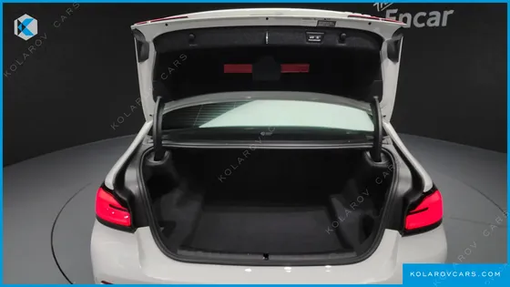 BMW 5 SERIES 520I LUXURY