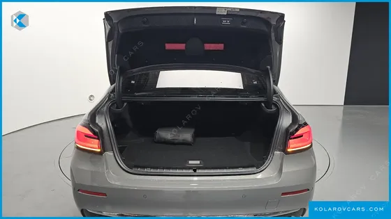 BMW 5 SERIES 530E LUXURY