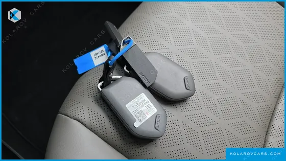 KIA CARNIVAL 9-SEATER PRESTIGE