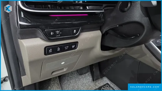 KIA CARNIVAL GASOLINE 9-SEATER SIGNATURE
