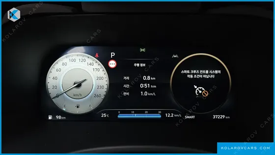 HYUNDAI PALISADE DIESEL 2.2 2WD