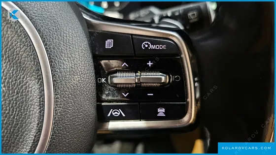 KIA CARNIVAL 9-SEATER SIGNATURE