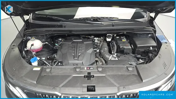 KIA CARNIVAL GASOLINE 9-SEATER HI-LIMOUSINE