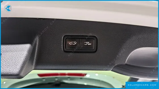 KIA CARNIVAL 9-SEATER NOBLESSE