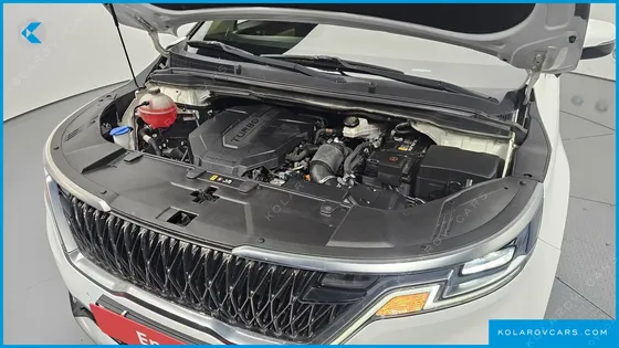 KIA CARNIVAL 9-SEATER NOBLESSE