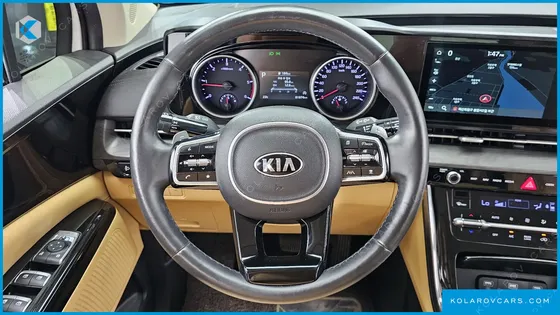 KIA CARNIVAL 9-SEATER NOBLESSE