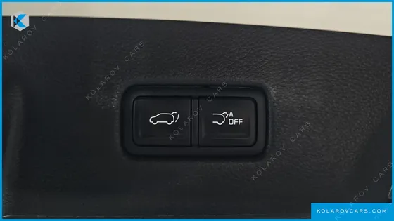 KIA CARNIVAL GASOLINE 9-SEATER NOBLESSE