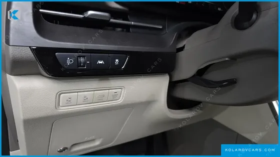 KIA CARNIVAL GASOLINE 9-SEATER LIMOUSINE(SPECIAL VEHICLE)