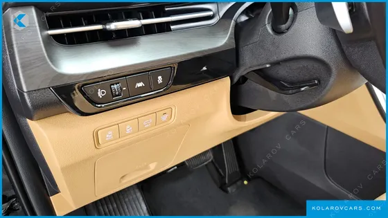 KIA CARNIVAL 9-SEATER SIGNATURE