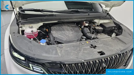 KIA CARNIVAL 9-SEATER HI-LIMOUSINE
