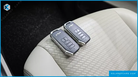 KIA CARNIVAL 9-SEATER HI-LIMOUSINE