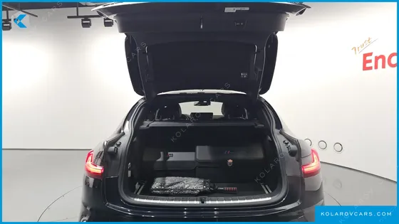 BMW X4 XDRIVE20I M SPORTS X ONLILE EXCLUSIVE EDITION