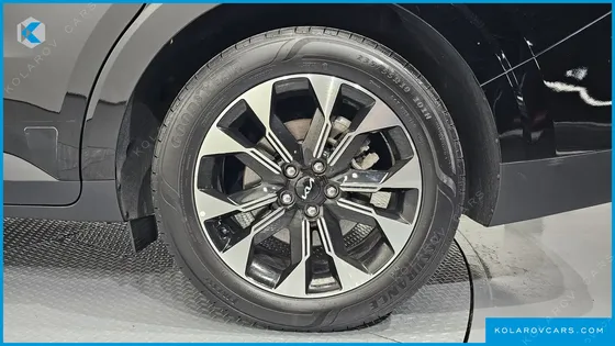KIA CARNIVAL 9-SEATER NOBLESSE