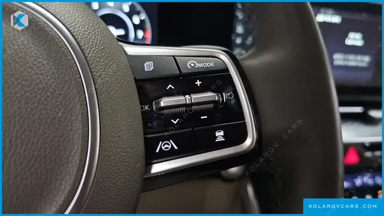 KIA CARNIVAL GASOLINE 9-SEATER HI-LIMOUSINE