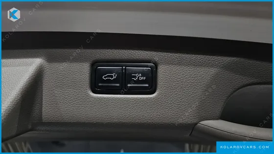 KIA CARNIVAL GASOLINE 9-SEATER HI-LIMOUSINE