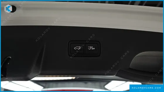 KIA CARNIVAL GASOLINE 9-SEATER NOBLESSE