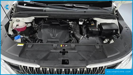 KIA CARNIVAL GASOLINE 9-SEATER HI-LIMOUSINE