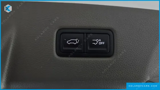 KIA CARNIVAL GASOLINE 9-SEATER HI-LIMOUSINE