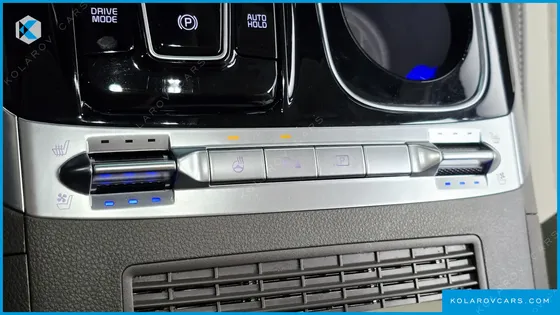 KIA CARNIVAL GASOLINE 9-SEATER HI-LIMOUSINE