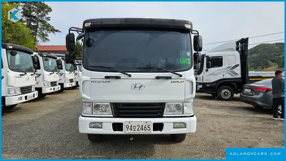 HYUNDAI MEGA TRUCK GOLD