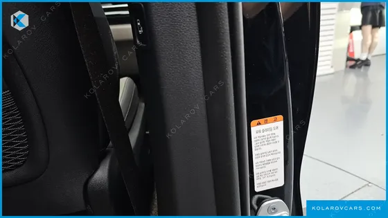 KIA CARNIVAL HEV 9 SEATER X LINE
