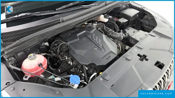 KIA CARNIVAL GASOLINE 4-SEATER HI-LIMOUSINE (SPECIAL)