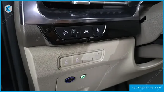 KIA CARNIVAL GASOLINE 4-SEATER HI-LIMOUSINE (SPECIAL)