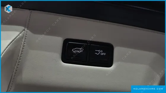 KIA CARNIVAL GASOLINE 4-SEATER HI-LIMOUSINE (SPECIAL)