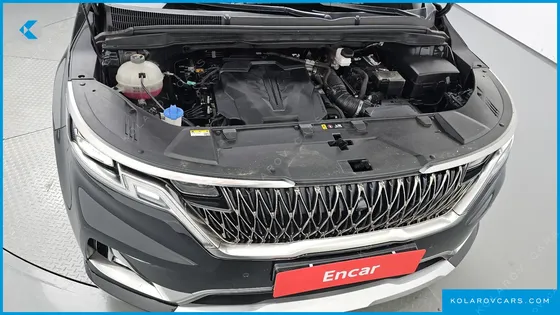 KIA CARNIVAL GASOLINE 4-SEATER HI-LIMOUSINE