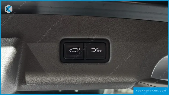 KIA CARNIVAL GASOLINE 4-SEATER HI-LIMOUSINE