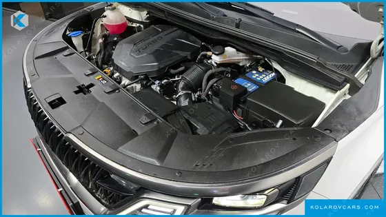 KIA CARNIVAL 9-SEATER SIGNATURE