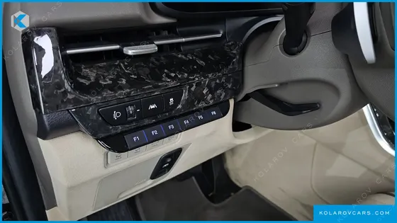 KIA CARNIVAL GASOLINE 9-SEATER LIMOUSINE(SPECIAL VEHICLE)