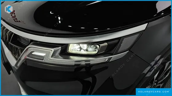 KIA CARNIVAL GASOLINE 9-SEATER LIMOUSINE(SPECIAL VEHICLE)