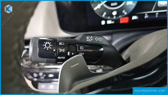 KIA CARNIVAL GASOLINE 9-SEATER LIMOUSINE(SPECIAL VEHICLE)