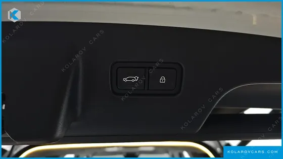 HYUNDAI PALISADE HEV 2.5T 4WD 9-SEATER