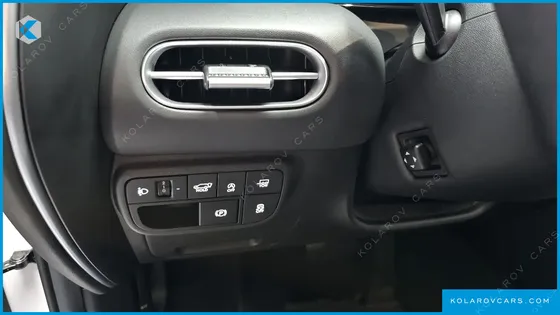 HYUNDAI PALISADE GASOLINE 2.5T 2WD 9-SEATER