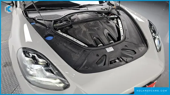 PORSCHE PANAMERA 2.9 AWD E-HYBRID PLATINUM EDITION