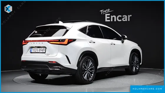 LEXUS NX LUXURY